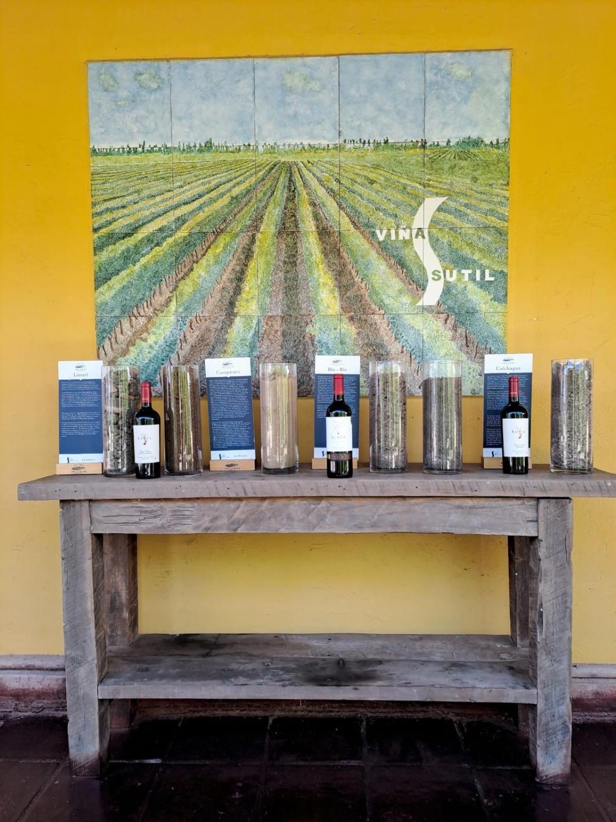 Vina La Playa Hotel & Winery サンタ・クルス エクステリア 写真